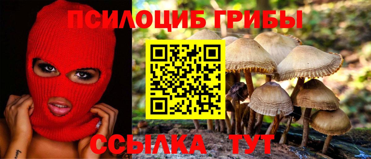 Псилоцибиновые грибы MAGIC MUSHROOMS  Вход с VPN  Шуя 
