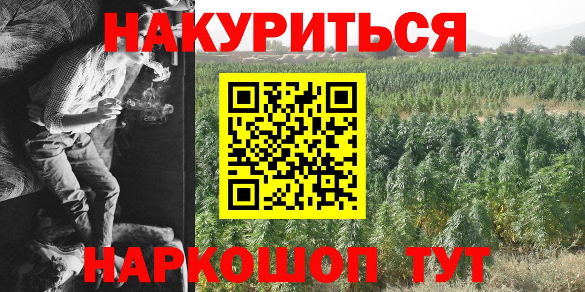Марихуана сатива  Конопля марихуана  Каннабис OG Kush  Вход с VPN  Конопля VHQ  Шуя 